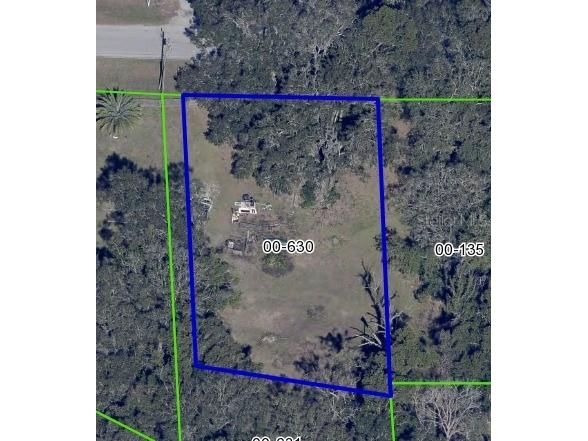 E 10th Street Apopka FL 32703 S5131736 image1