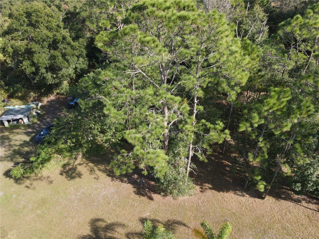 E 19th Street Saint Cloud FL 34769 O6187401 image14