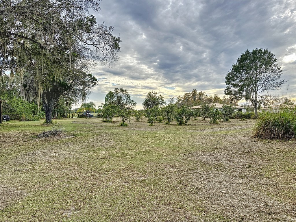 E 19th Street Saint Cloud FL 34769 O6187401 image8