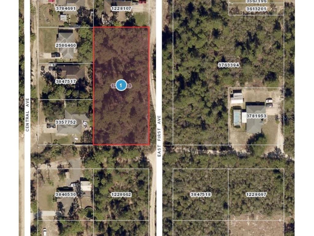 E 1st Avenue Umatilla FL 32784 O6101649 image1