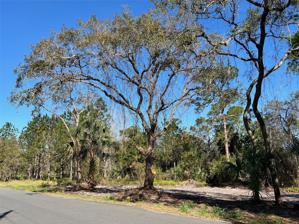 E 2nd Avenue Deland FL 32720 V4941654 image1