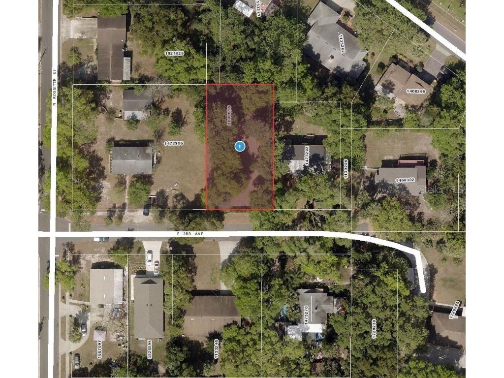 E 3rd Avenue Mount Dora FL 32757 O6287346 image1