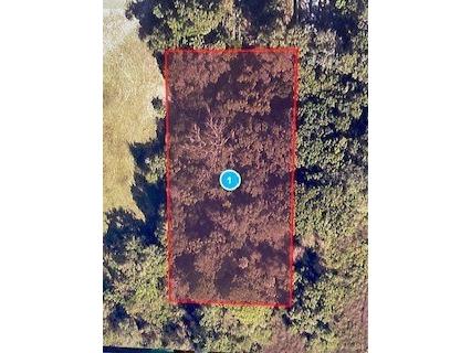 E Bates Avenue Eustis FL 32726 G5045816 image1