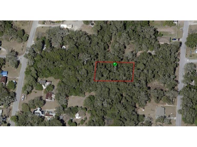 E Berlin Street De Leon Springs FL 32130 O6236311 image3