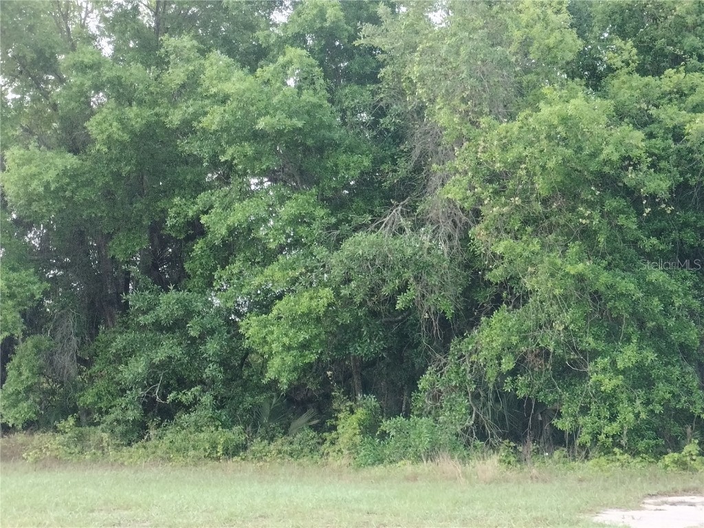 E Bluebell Avenue Eustis FL 32736 G5080010 image1