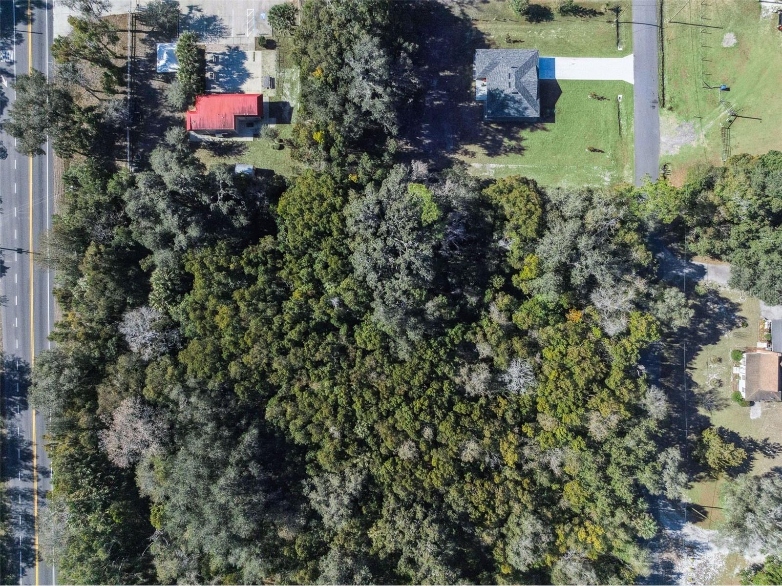 E Broad Street Pierson FL 32180 V4947289 image10