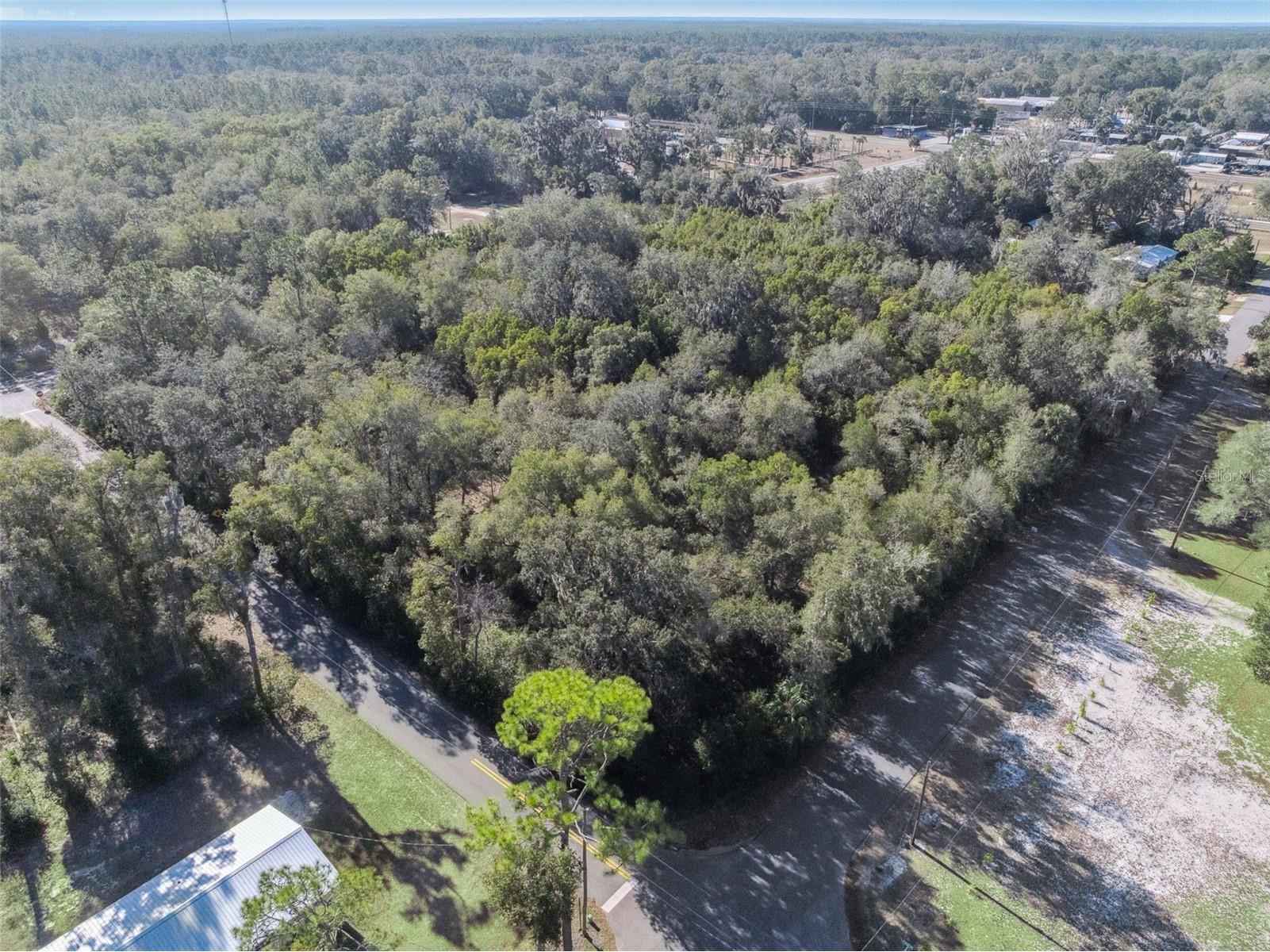 E Broad Street Pierson FL 32180 V4947289 image17