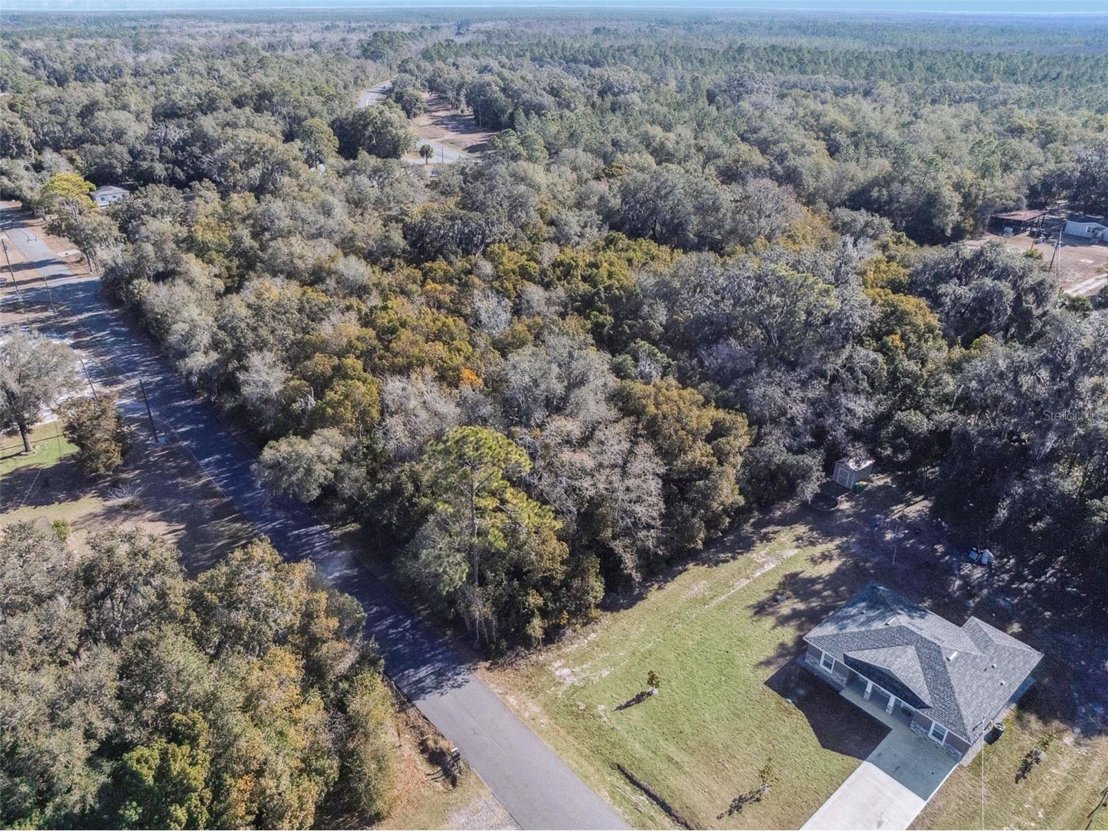 E Broad Street Pierson FL 32180 V4947289 image18