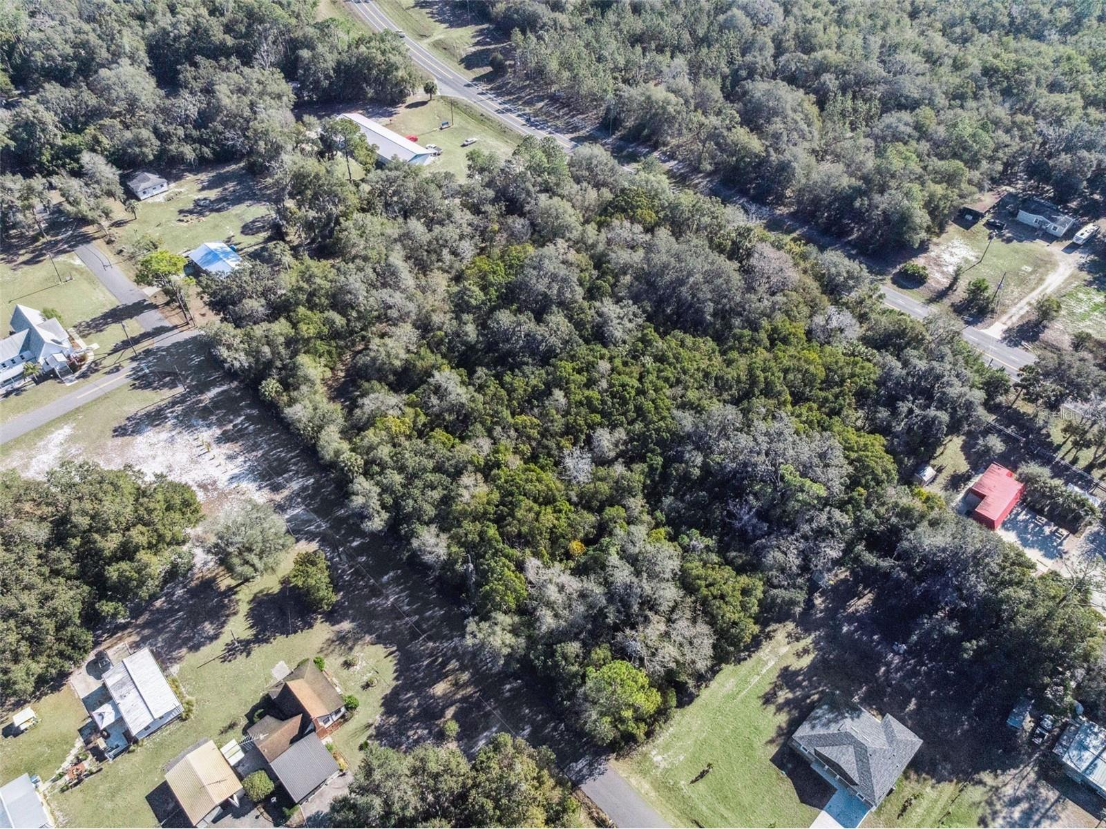 E Broad Street Pierson FL 32180 V4947289 image8