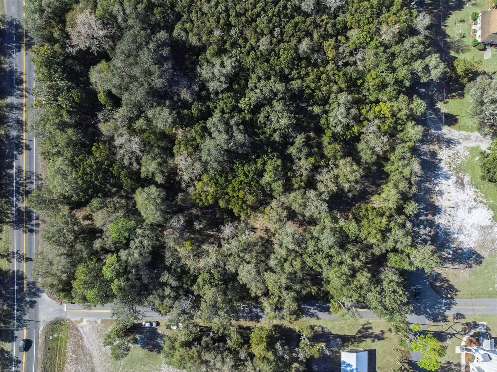 E Broad Street Pierson FL 32180 V4947289 image9