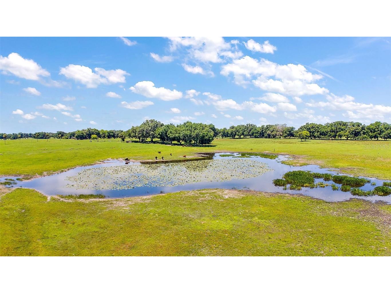 E C-478 -Unassigned Address Webster FL 33597 O6206973 image13