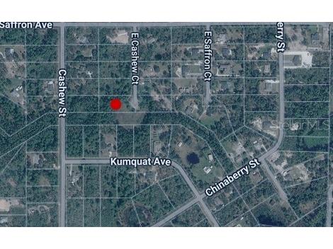 E Cashew Court Eustis FL 32736 C7524801 image1