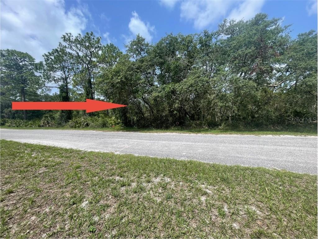 E Cashew Court Eustis FL 32736 O6315642 image2