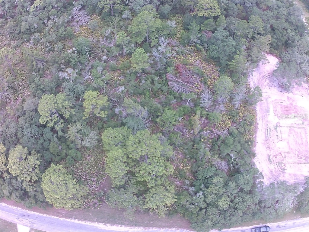 E Cashew Court Eustis FL 32736 O6315642 image3