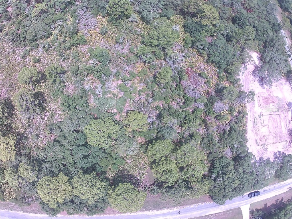 E Cashew Court Eustis FL 32736 O6315642 image4