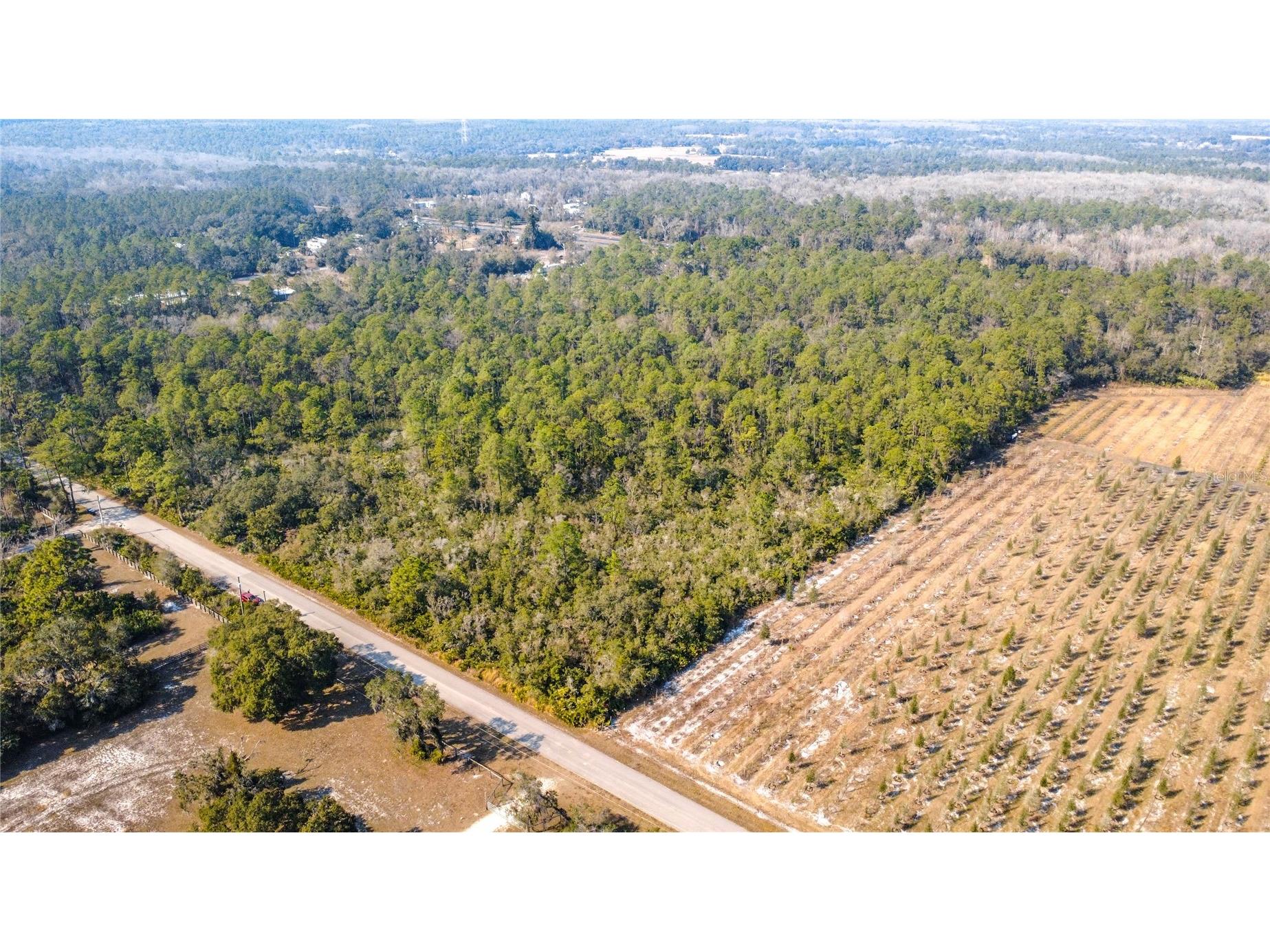 E Colonial Drive Christmas FL 32709 O6377983 image13