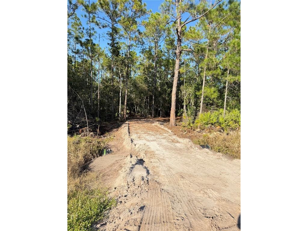 E Colonial Drive Christmas FL 32709 S5139120 image1