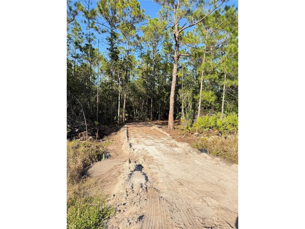 E Colonial Drive Christmas FL 32709 S5139120 image2