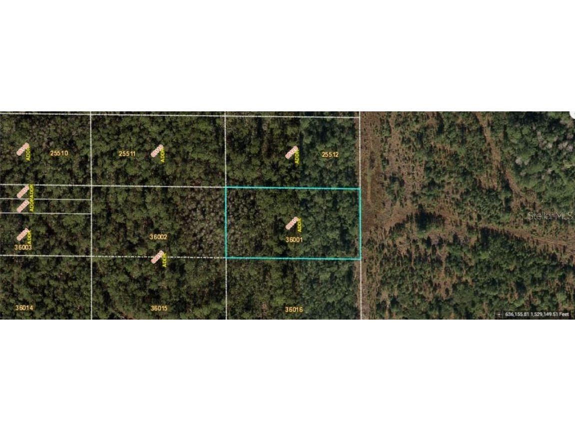 E Colonial Drive Orlando FL 32820 O6231642 image2