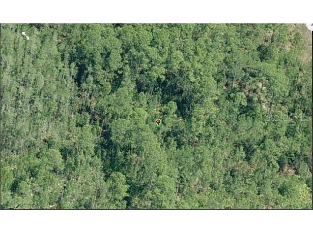 E Colonial Drive Orlando FL 32820 O6231642 image3