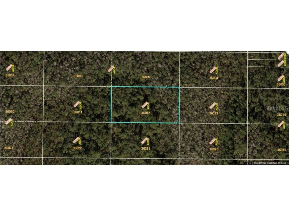 E Colonial Drive Orlando FL 32820 O6231643 image2