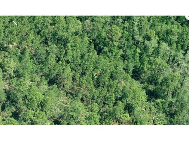 E Colonial Drive Orlando FL 32820 O6231643 image3