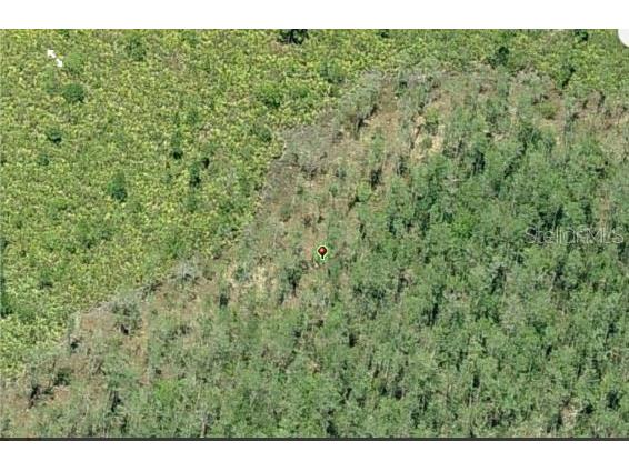 E Colonial Drive Orlando FL 32820 O6233805 image3