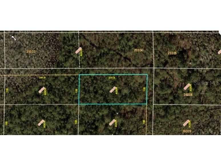 E Colonial Drive Orlando FL 32820 O6233807 image2