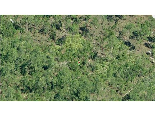 E Colonial Drive Orlando FL 32820 O6233807 image3