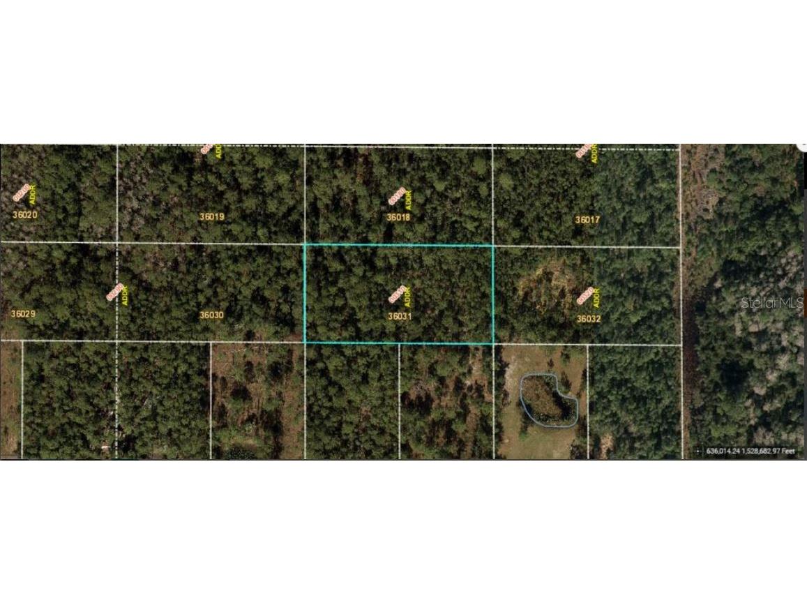 E Colonial Drive Orlando FL 32820 O6272091 image2