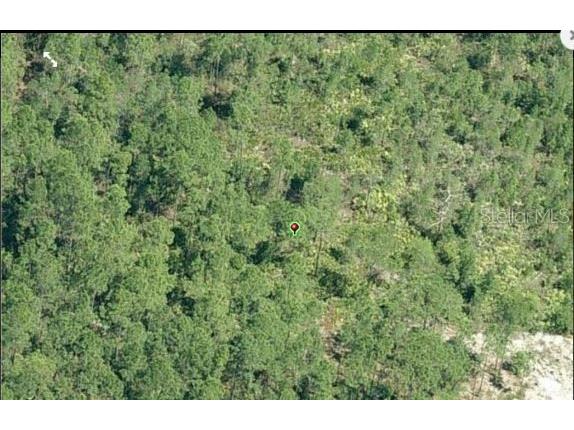 E Colonial Drive Orlando FL 32820 O6272091 image3