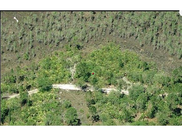 E Colonial Drive Orlando FL 32820 O6296598 image3