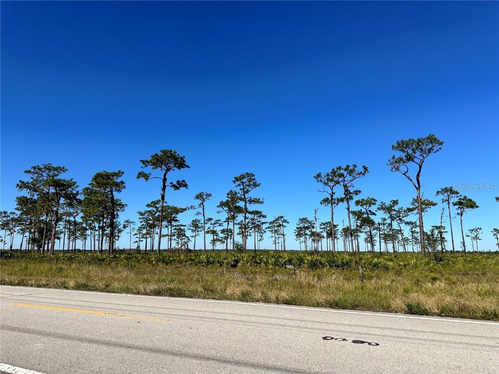 E County Line Road Fort Meade FL 33841 L4949093 image4