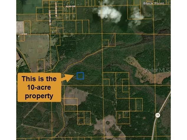 E County Road 90 Bunnell FL 32110 A4698726 image3