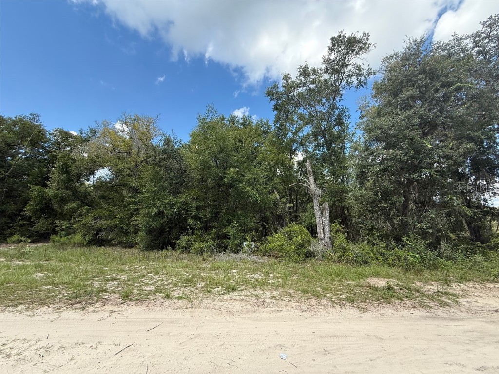 E Cowpen Lake Road Hawthorne FL 32640 W7878211 image1