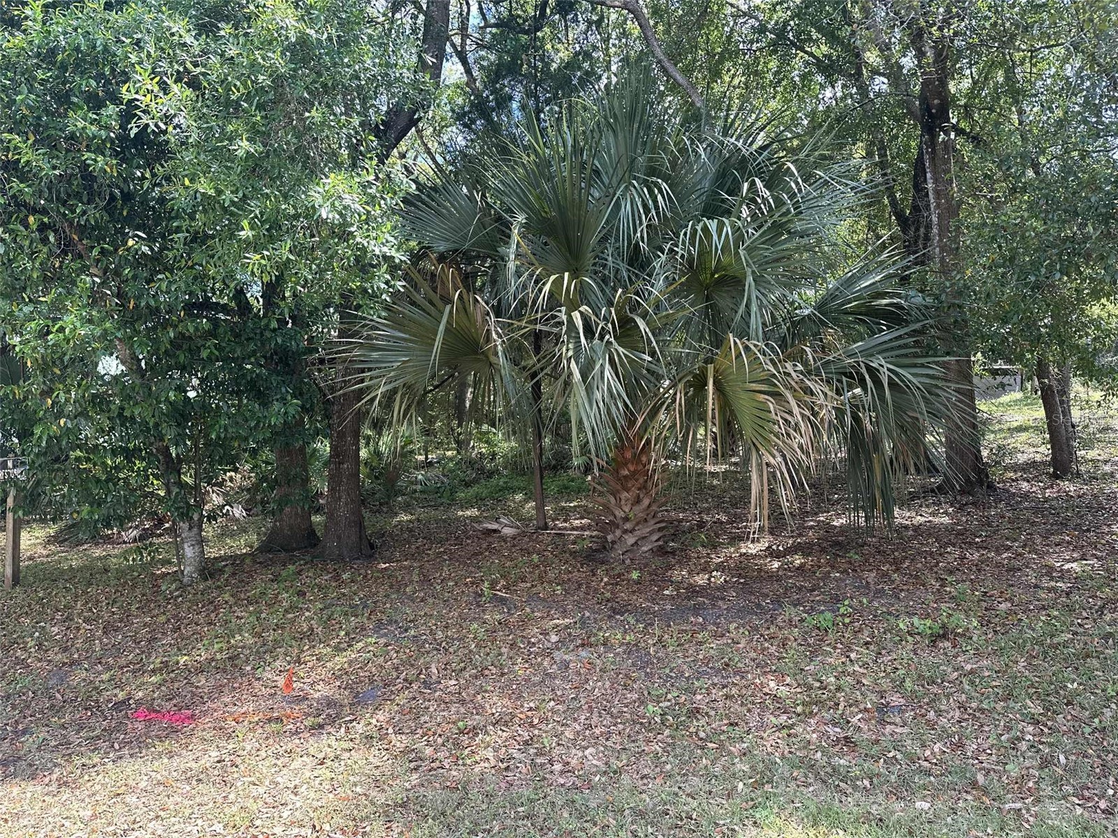 E Elm Drive Orange City FL 32763 V4948744 image1