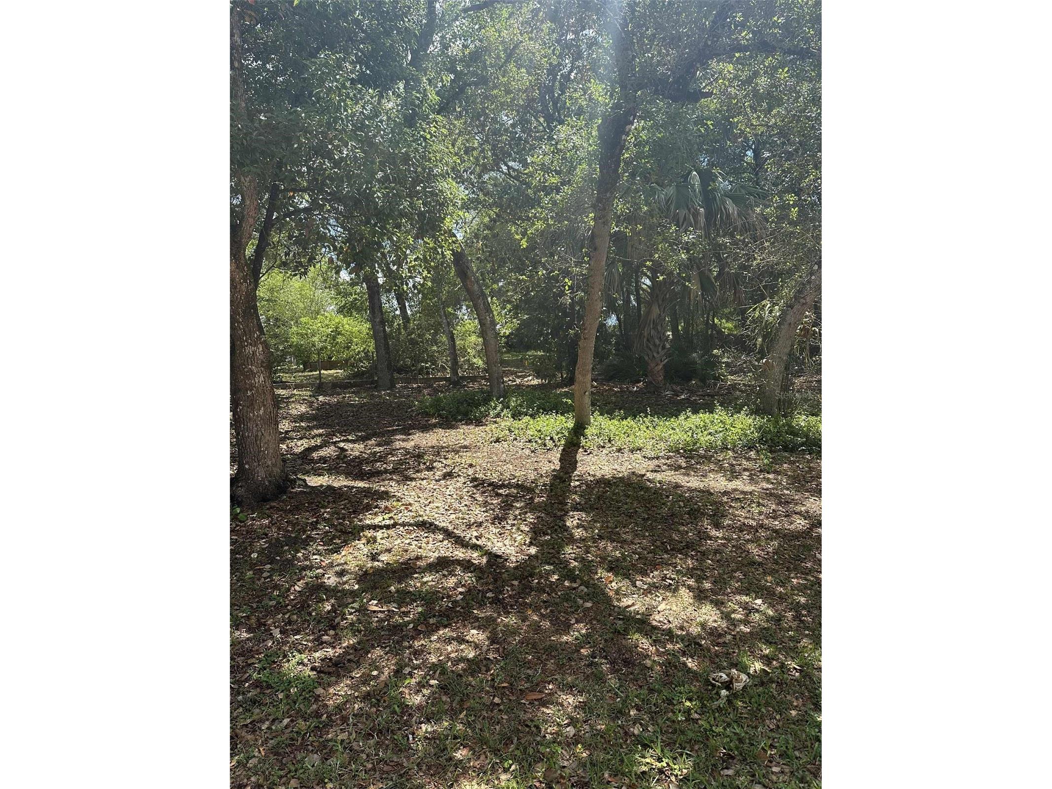 E Elm Drive Orange City FL 32763 V4948745 image1