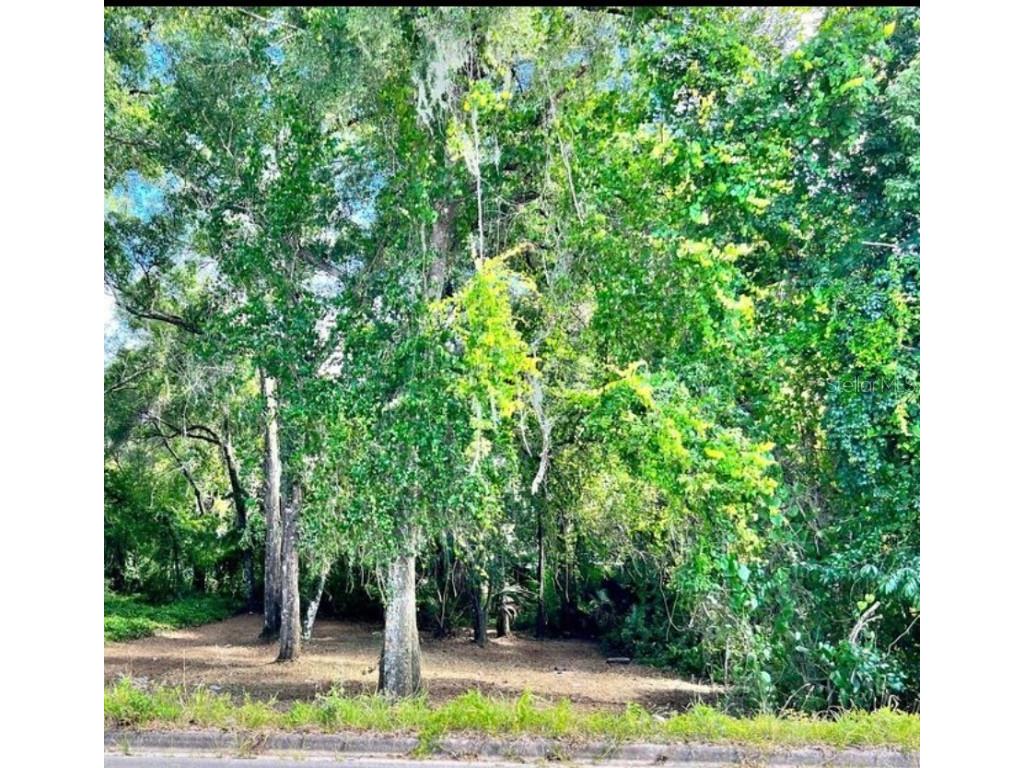 E Euclid Avenue Deland FL 32724 O6219337 image1