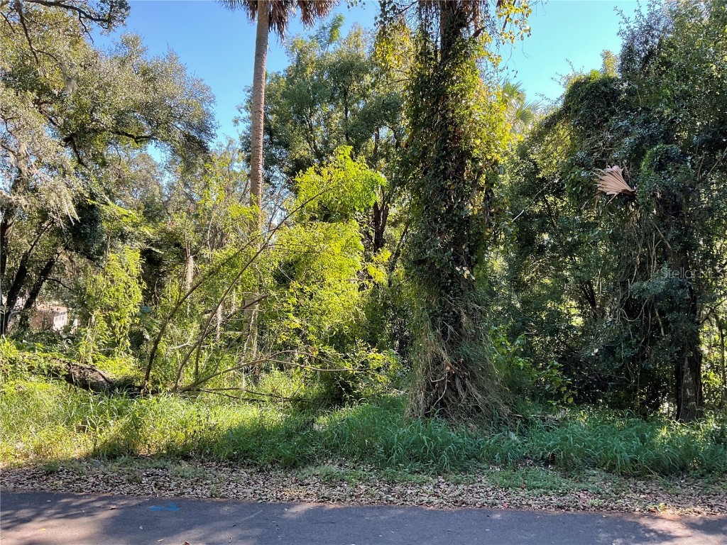 E Fruitland Street Fruitland Park FL 34731 G5089455 image2