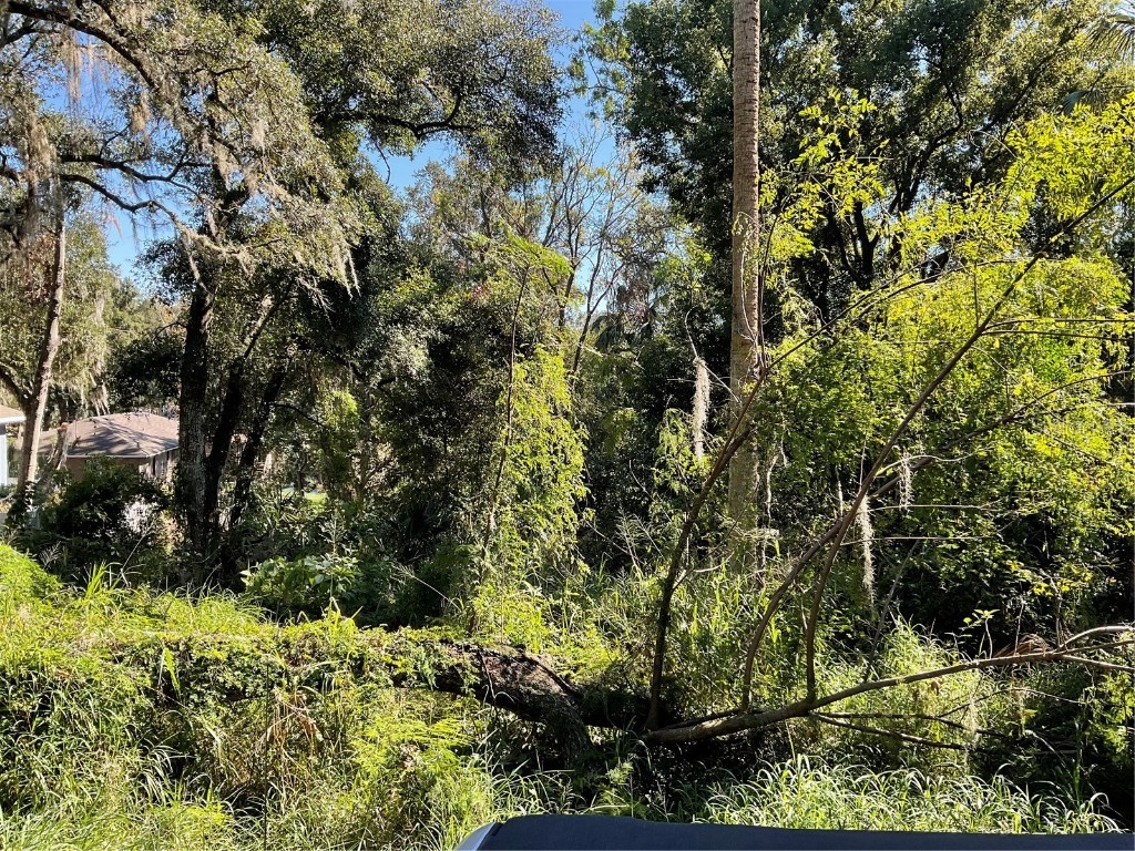 E Fruitland Street Fruitland Park FL 34731 G5089455 image3