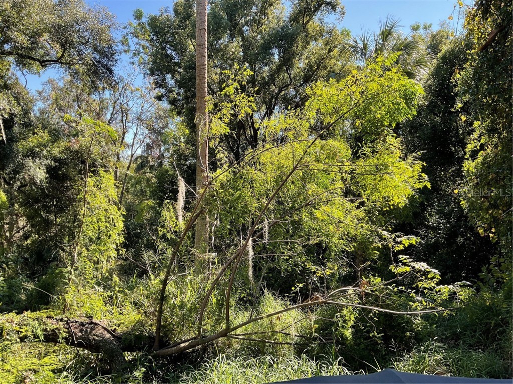 E Fruitland Street Fruitland Park FL 34731 G5089455 image4