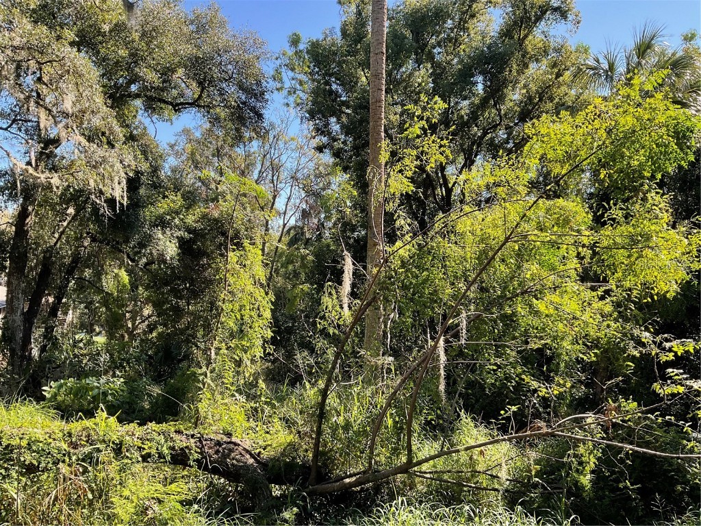 E Fruitland Street Fruitland Park FL 34731 G5089455 image5