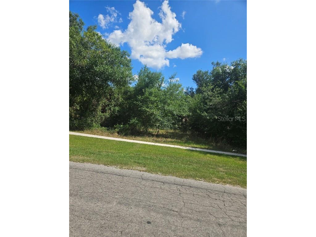 E Gibson Street Arcadia FL 34266 A4652955 image3