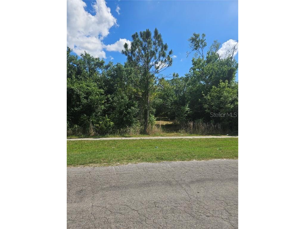 E Gibson Street Arcadia FL 34266 A4652955 image5