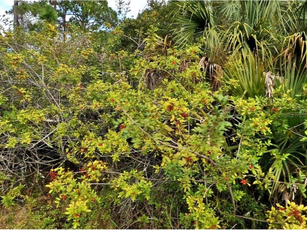 E Hallmark Blvd North Port FL 34288 C7516640 image4