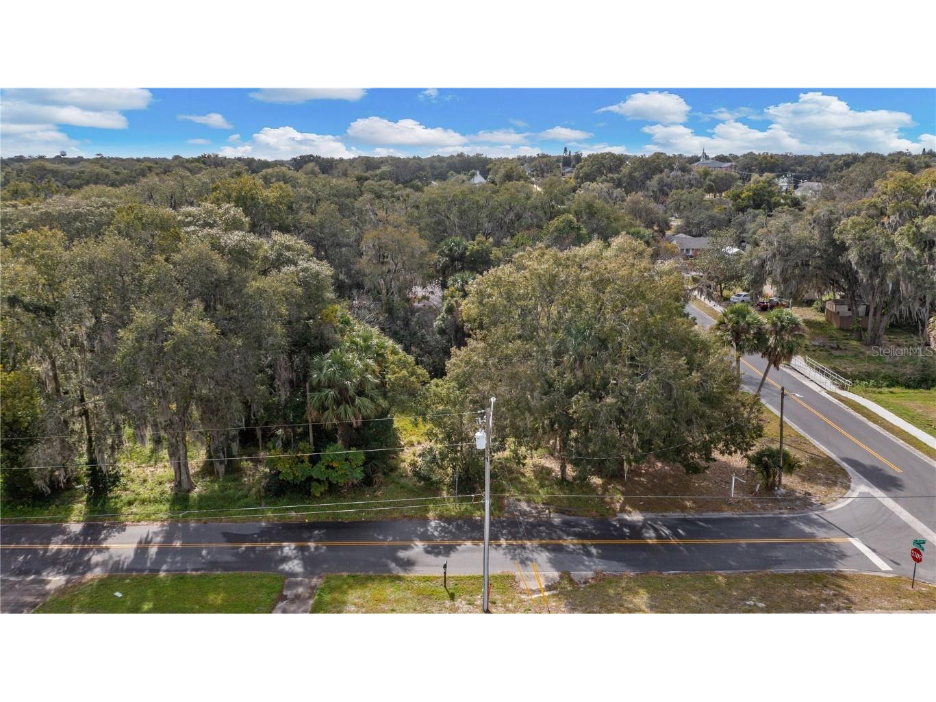 E Hazzard Avenue Eustis FL 32726 O6173873 image1