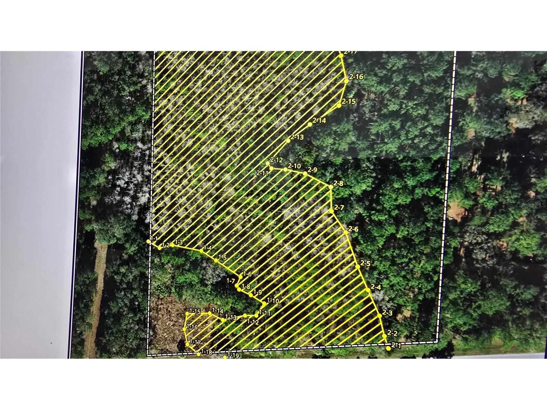 E Highway 316 Fort Mc Coy FL 32134 OM710948 image1