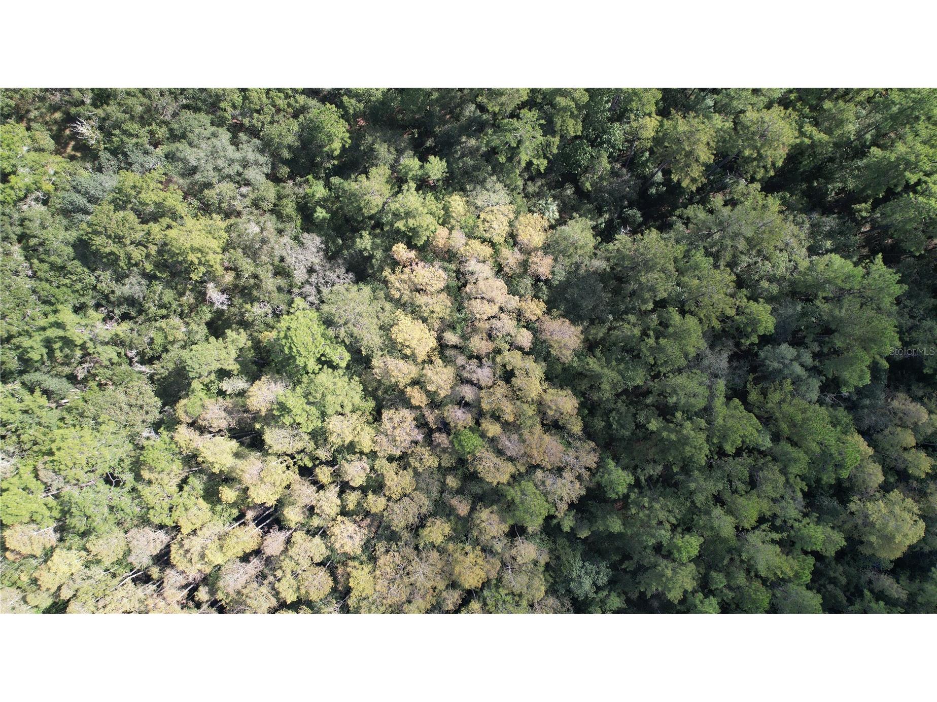 E Highway 316 Fort Mc Coy FL 32134 OM710948 image11