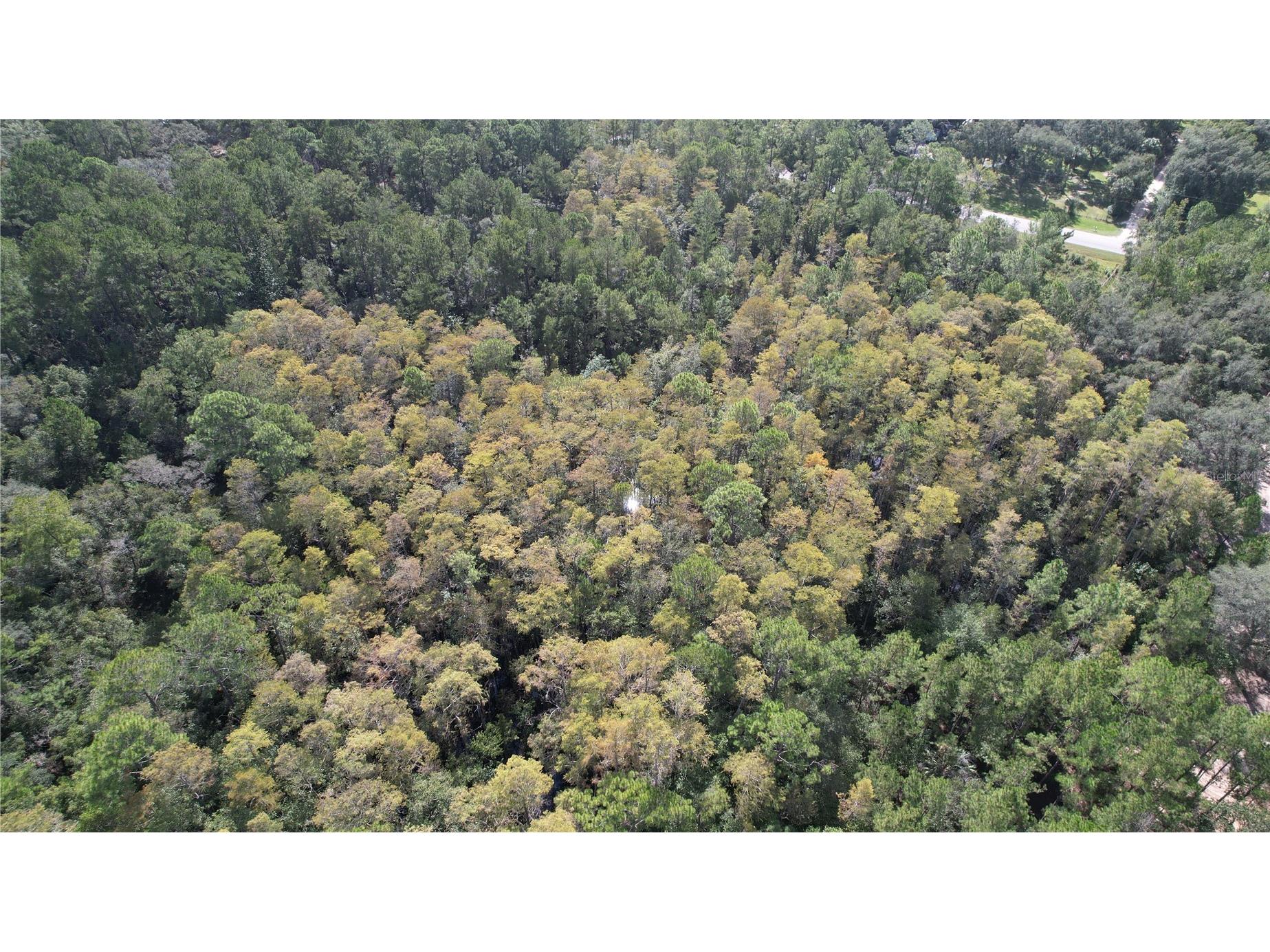 E Highway 316 Fort Mc Coy FL 32134 OM710948 image13