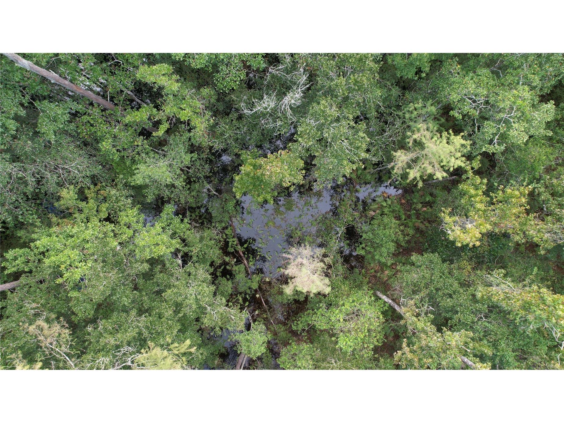 E Highway 316 Fort Mc Coy FL 32134 OM710948 image18